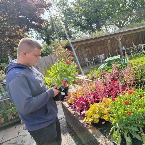 Camelia Botnar Foundation Horticulture Department 07