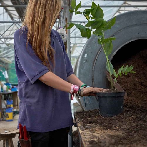 Camelia Botnar Foundation Horticulture Department 0723