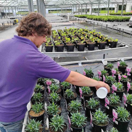 Camelia Botnar Foundation Horticulture Department 10