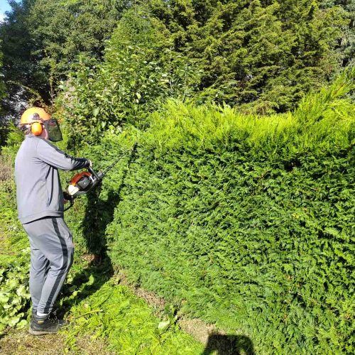 Camelia Botnar Foundation Horticulture Department 101705