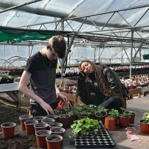 Camelia Botnar Foundation Horticulture Department 115549