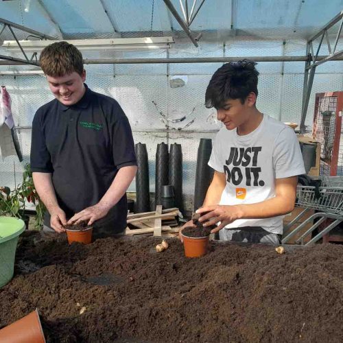 Camelia Botnar Foundation Horticulture Department 144912