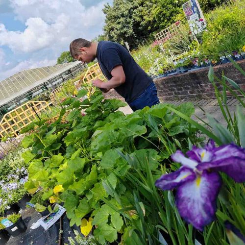 Camelia Botnar Foundation Horticulture Department 18359