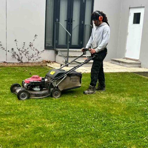 Camelia Botnar Foundation Estate Maintenance Department 0097