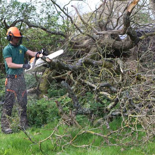Camelia Botnar Foundation Estate Maintenance Department 1