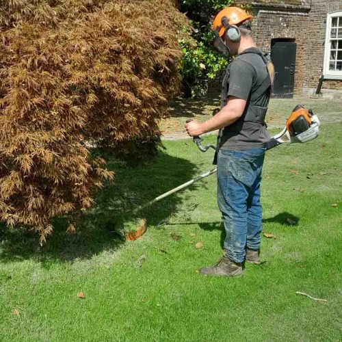 Camelia Botnar Foundation Estate Maintenance Department 145306