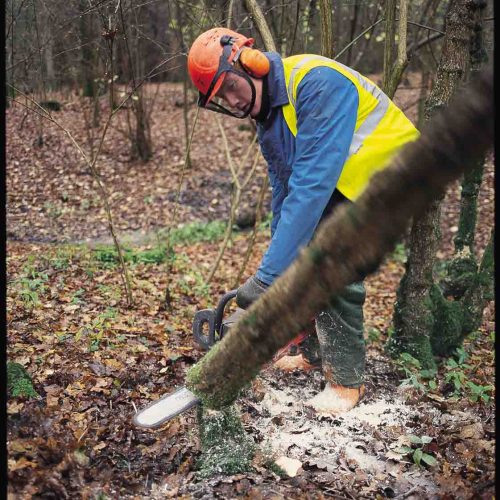 Camelia Botnar Foundation Estate Maintenance Department 25