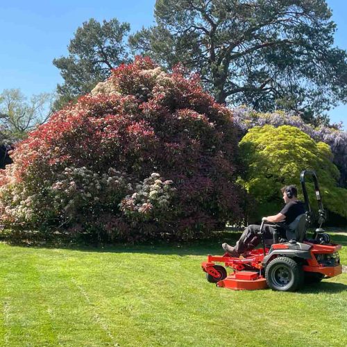 Camelia Botnar Foundation Estate Maintenance Department 3569