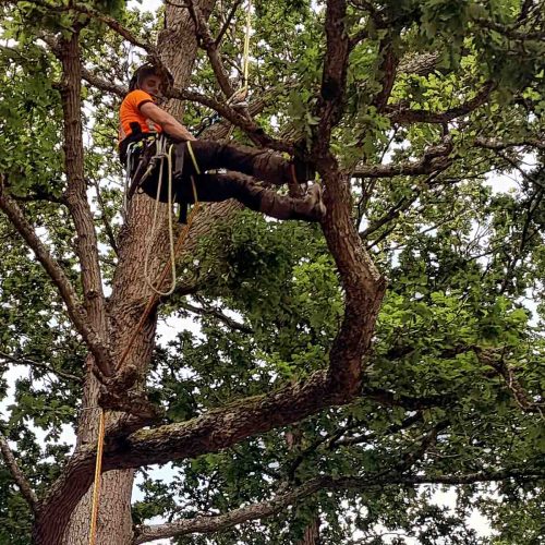 Camelia Botnar Foundation Estate Maintenance Department 786